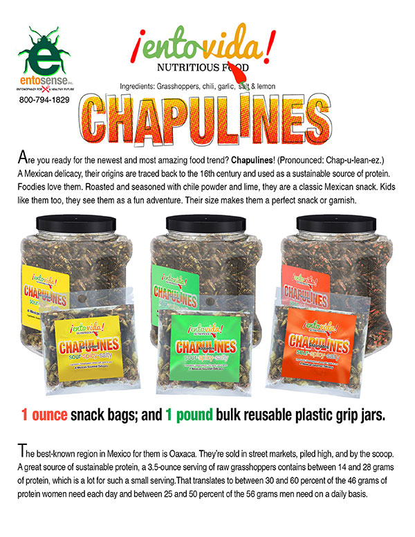 Chapulines For Sale in Bulk