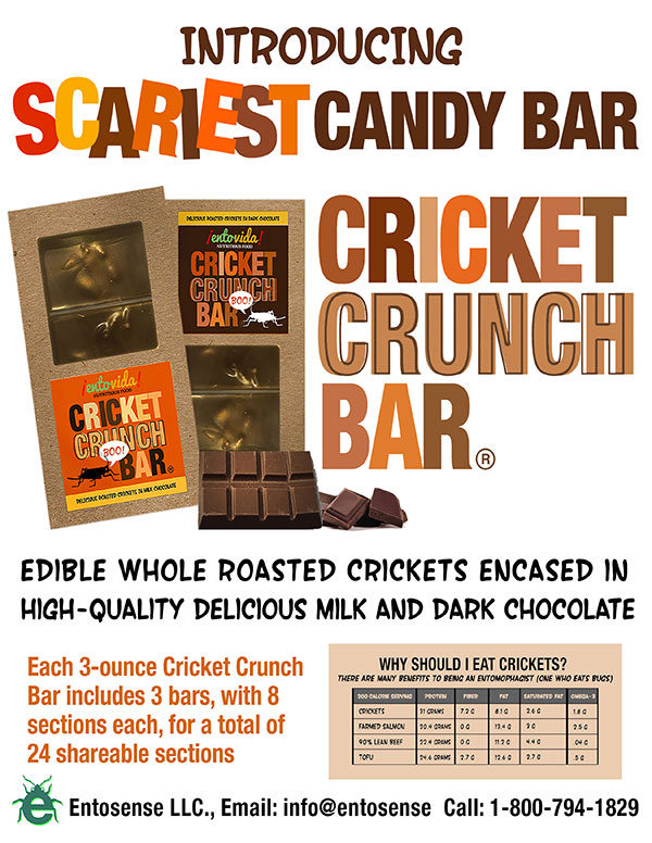 Cricket Crunch Bar