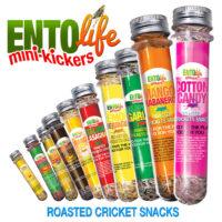 Mini-Kickers Flavored Cricket Snacks