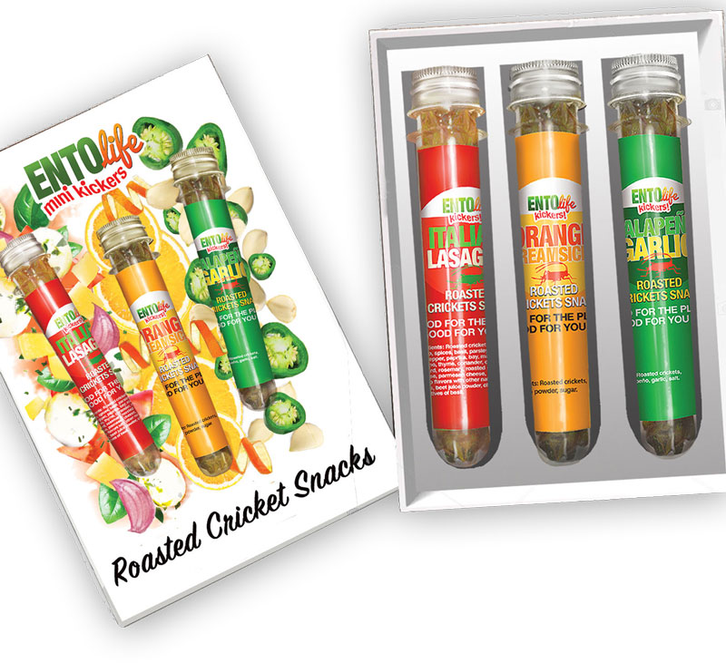 Mini-Kickers Flavored Cricket Snacks Gift Box