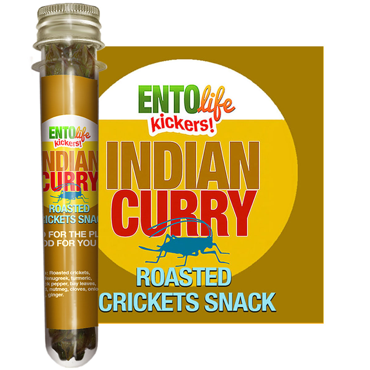 Indian Curry Flavored Crickets