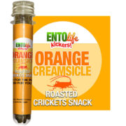 Orange Flavored Crickets