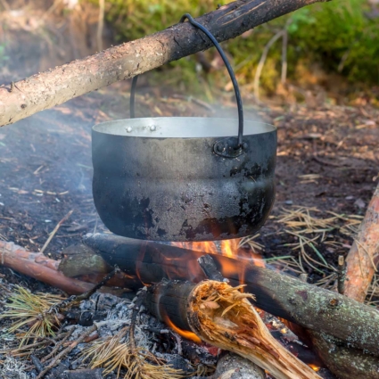 Insects are an ancient food