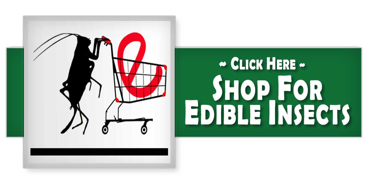 Shop for Edible Insects